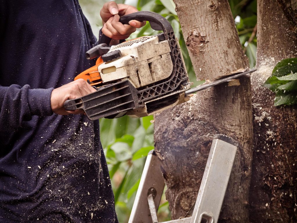 chain saw scie chaine bois travaux location matane